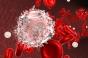 Leucémie aigüe myéloïde : cibler ses cellules souches pour la vaincre 