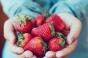 Contre les maladies cardiovasculaires, mangez des fraises