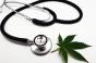Cannabis médical et douleur : avantages et inconvénients