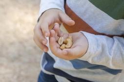 La pollution de l’air est liée aux allergies aux arachides pendant l’enfance