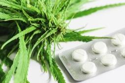 CBD et médicaments : gare aux associations dangereuses