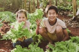 Manger durable : un impératif pour la santé et l'environnement