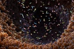 Quel est le rôle du microbiote dans l'évolution de certaines maladies neurodégénératives ?