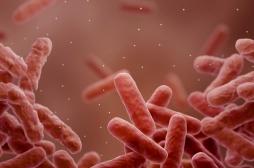 Un nouveau médicament pourrait être efficace contre les bactéries mangeuse de chair 