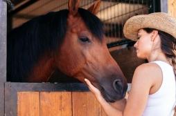 Les fausses couches des chevaux aident à comprendre celles des humains