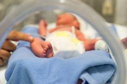 Naissance prématurée : un minuteur moléculaire en cause ?