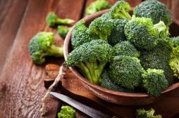 Cancer : le brocoli pourrait aider à réduire les risques