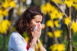 Allergies aux pollens : elles reviennent en force avec le soleil