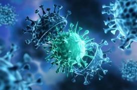 Covid-19 : un virus inoffensif pourrait être un biomarqueur