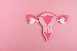 Vulvodynie : comprendre la 