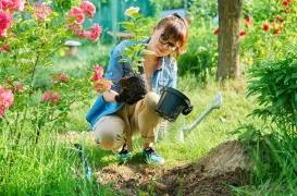 Jardinage, marche : les activités de faible intensité réduisent la dépression