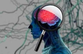 Dépression : une inflammation mal contrôlée du cerveau est associée au suicide