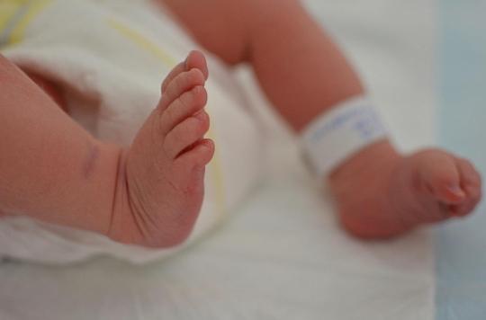 Rare case: a baby is born without a penis, but with testicles