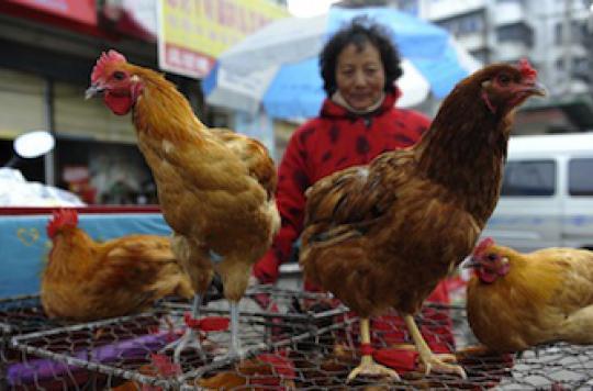 H7N9 virus spreads in China