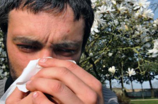 Pollen allergies: France sees red