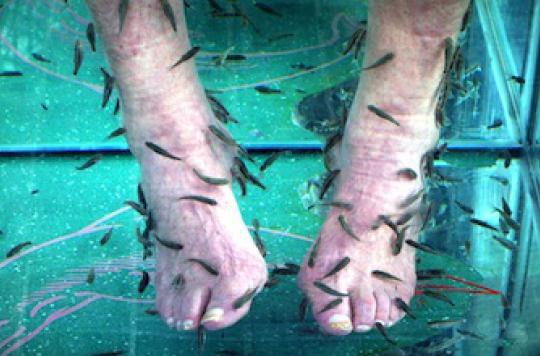 Six new advertisements banned for fish pedicures