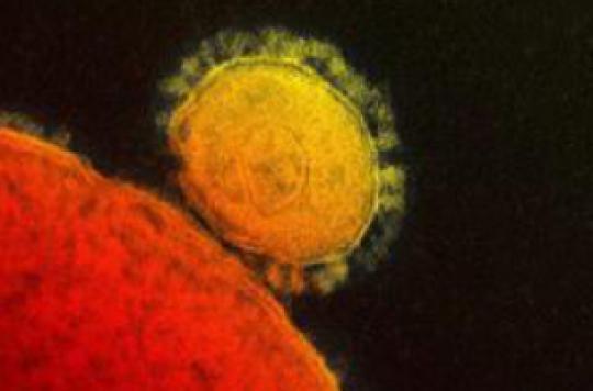 Coronavirus: research on treatments progresses