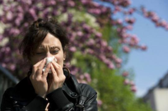 Allergies: wave of mugwort pollen expected