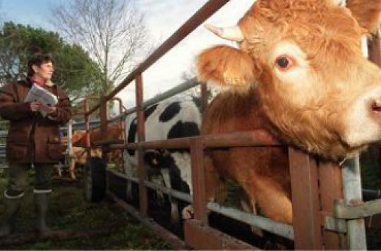 Antibiotics in animals: authorities sound the alarm