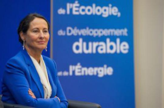 Environmental plan: Ségolène Royal tracks allergens