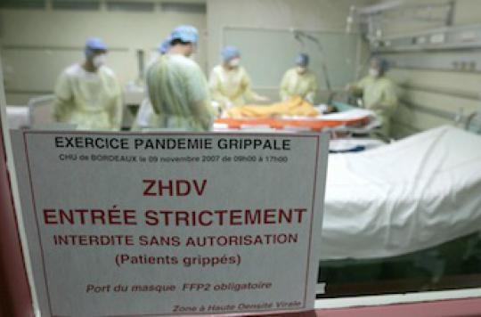 France prepares to deal with cases of bird flu