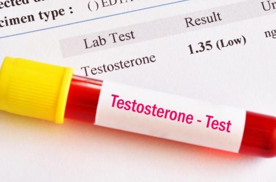 How does testosterone influence our sex life? 