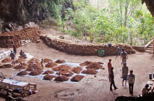 The man of Flores would have disappeared 50,000 years ago