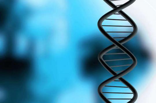 New genetic markers to confuse criminals