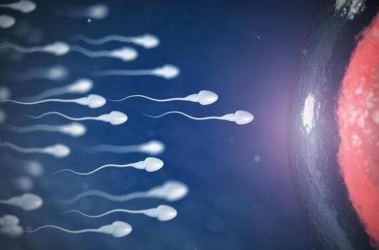 The biological age of sperm is a marker of the chances of pregnancy