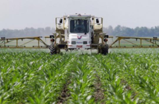 Gluten intolerance: Roundup herbicide blamed