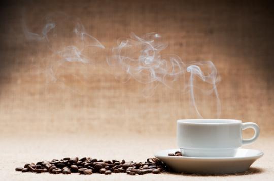 Coffee and mate: probable carcinogens above 65 degrees