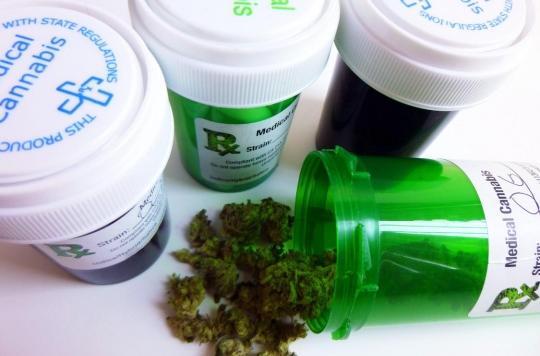 The first clinical trials on therapeutic cannabis will begin in 2021