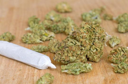 A child in a coma after swallowing cannabis