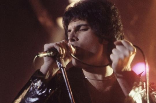 Death of Freddie Mercury: 30 years later, AIDS still kills in France