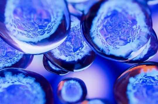 The functioning of stem cells is revealed a little more