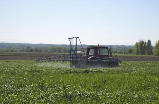 Pesticides: the appeal of 1,200 doctors heard