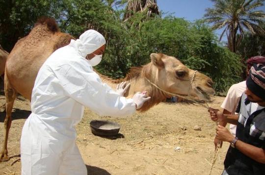 Saudi Arabia: coronavirus claims new victims