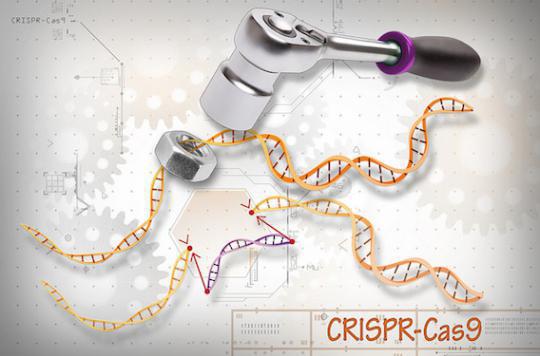 Lung cancer: gene editing tested in China