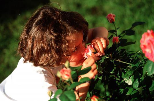 Smell to help rebuild