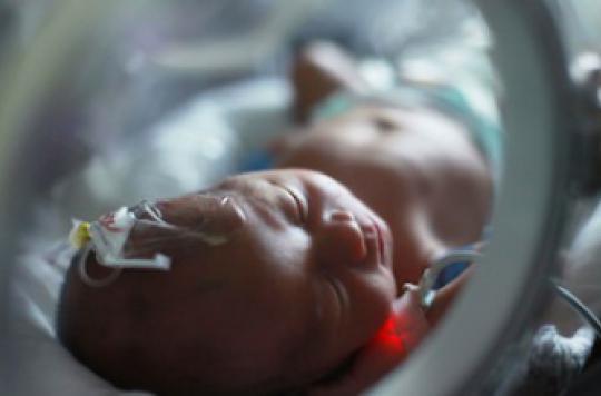 Premature babies: preventing brain damage with a hormone