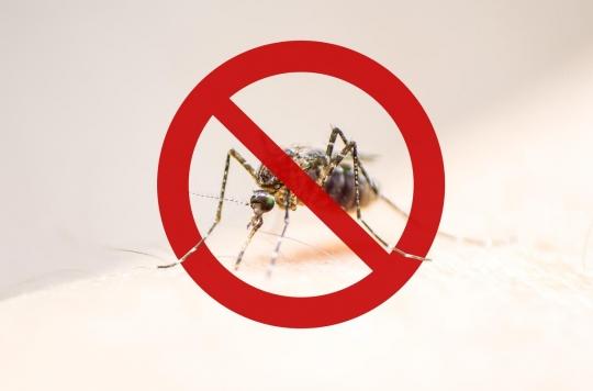 Dengue virus: a first sexual contamination in Spain