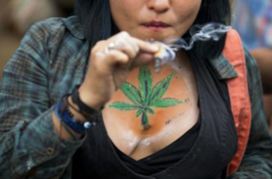 Cannabis: Uruguay legalizes but monitors