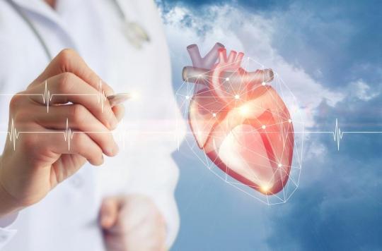 Treatment of atrial fibrillation: in which cases should endovascular techniques be used?