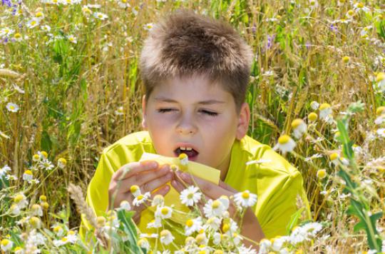 Allergies: the south must face the return of pollens