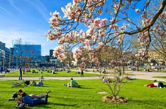 Green spaces contribute to the well-being of city dwellers