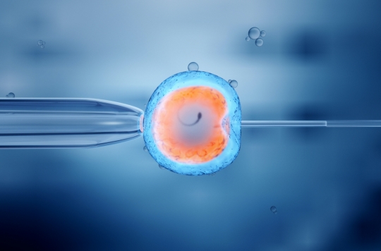 How fertility clinics improve women’s chances of having a child