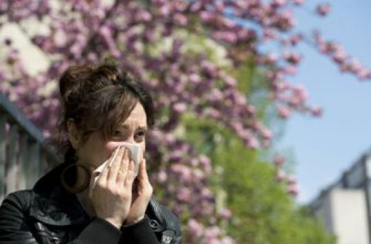 Allergies: ragweed pollens are back