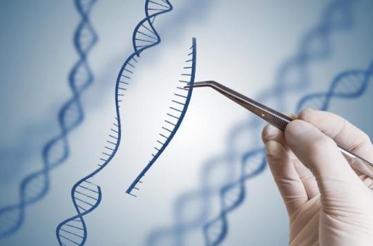 Duchenne muscular dystrophy: genetic scissors to reduce the progression of muscular dystrophy