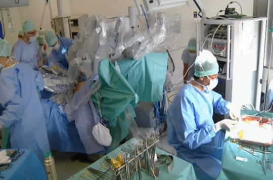 World first: a vaginal kidney transplant in Toulouse