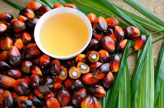 Immune system: the little-known benefits of palm oil